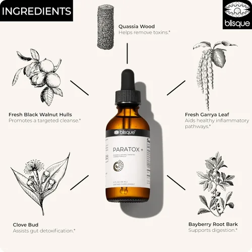 Vista 4 de Blisque Extrem Natural para Suplemento de limpieza dirigido con cáscaras de nogal negro 2 onzas 59 porciones