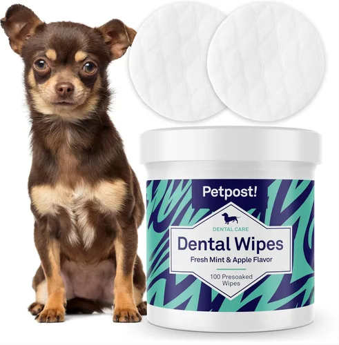 Vista 9 de Petpost Fresh Breath Foam for Dogs - Solución dental con sabor a menta y manzana que elimina el mal aliento - Tratamiento de limpieza dental