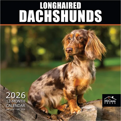 Vista 68 de MICASA PRESS Calendario de pared de Australian Shepherds Aussies 2027 02 - Pastores australianos