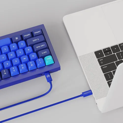 Vista 8 de Keychron Q2 - Perilla de teclado mecánico personalizado con cable, diseño del 65% QMKVIA, macro programable con interruptor Gateron G Pro Brown
