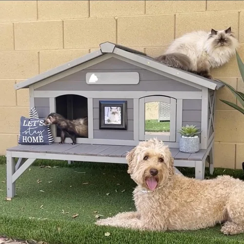 Vista 9 de Aivituvin Casa para gatos climatizada para gatos exteriores, resistente a la intemperie y aislada, casa para gatos con alfombrilla térmica, refugio