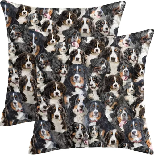 Vista 15 de Regalo para amantes de Airedale Terrier, 2 fundas de almohada de Bingley Terrier, fundas de almohada con estampado de cara de perro, fundas