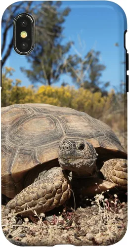 Vista 4 de Funda para iPhone 12/12 Pro Desert Tortoise