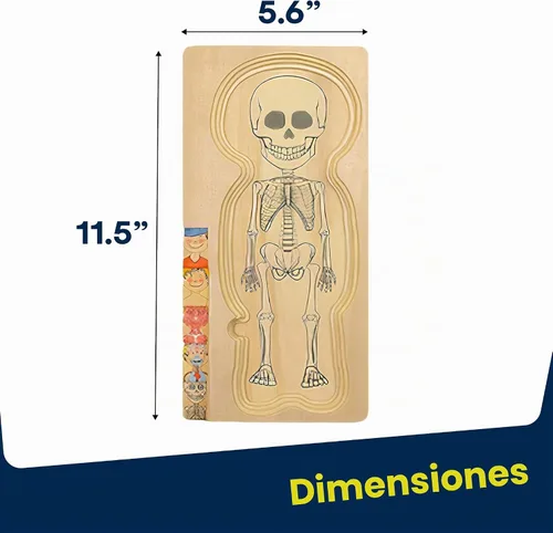Vista 3 de Kidzlane Boy Wooden My Body Puzzle for Toddlers & Kids - 29 Piece Boys Anatomy Puzzle Kid Play Set - Anatomy for Kids, Skeleton Toys for Children