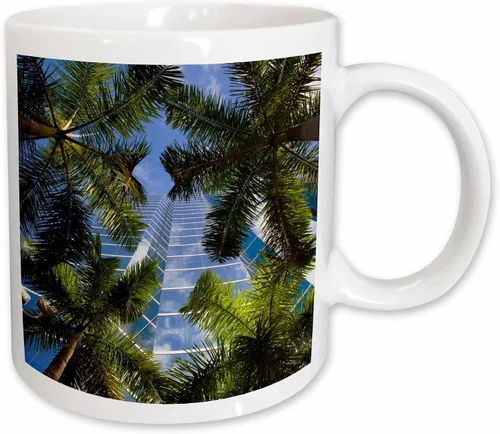 Vista 12 de 3dRose Estados Unidos, Florida, Miami, Brickell Avenue, edificios de gran altura. Taza negra de dos tonos de 11 oz