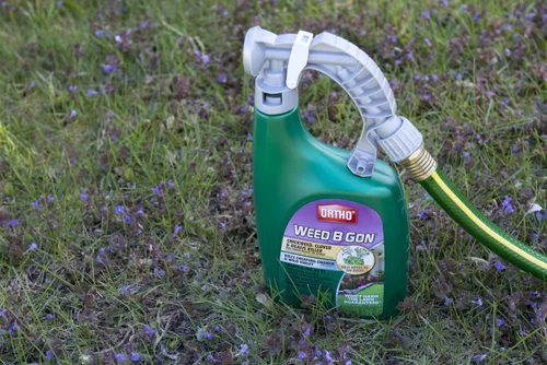 Vista 5 de Ortho Weed B Gon Chickweed, Clover & Oxalis Killer para césped, 32 onzas (paquete de 2)