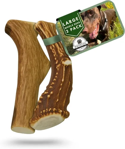 Vista 11 de WhiteTail Naturals - Cuernos de ciervo para perros pequeños (paquete de 12) cuernos masticables naturales para cachorros y pequeños masticadores