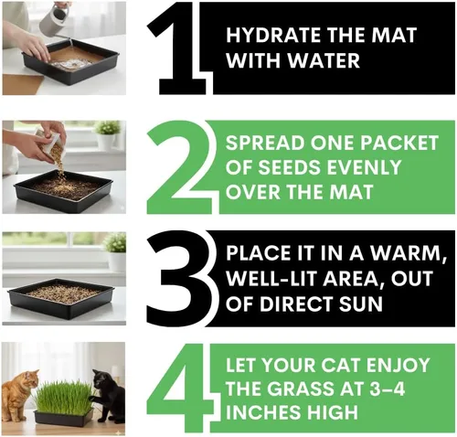 Vista 5 de Kit de cultivo de hierba para gatos, semillas orgánicas, tapetes de cultivo de yute, contenedor de cultivo de 10 x 10 pulgadas, ideal para gatos