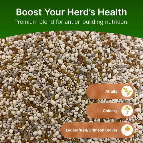 Vista 3 de Semillas de parcela de alimentos de alfalfa + trébol para ciervos [perennes] – Semillas de parcela de alimentos perennes – Mezcla de semillas
