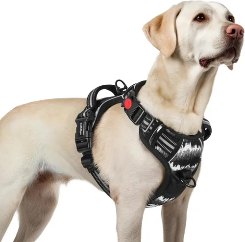 Vista 13 de Rabbitgoo - Arnés para perro de tamaño pequeño, arnés para mascotas sin tirones con 3 hebillas, chaleco acolchado suave ajustable con mango