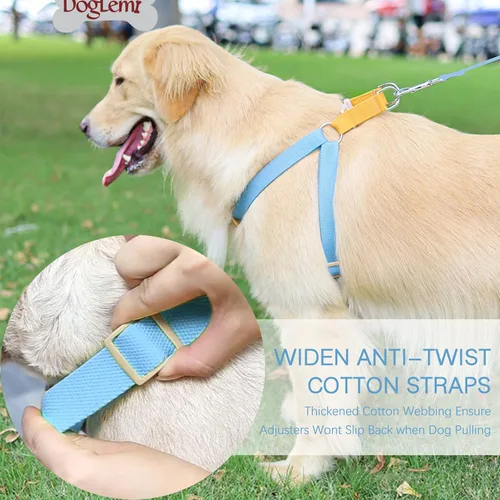 Vista 8 de Juego de arnés y correa para perro sin tirones, collar de perro, arnés halter para perro con soporte para bolsa de excrementos, correas ajustables