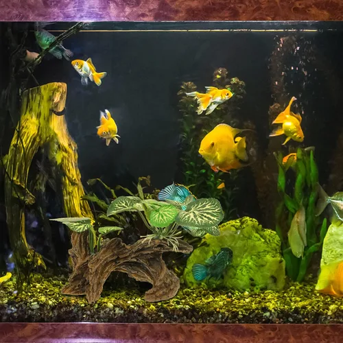 Vista 8 de Ipetboom Plantas de acuario, decoraciones de pecera, rama de esquina de reptil, rama de árbol trepador de resina con hojas, decoración de tanque