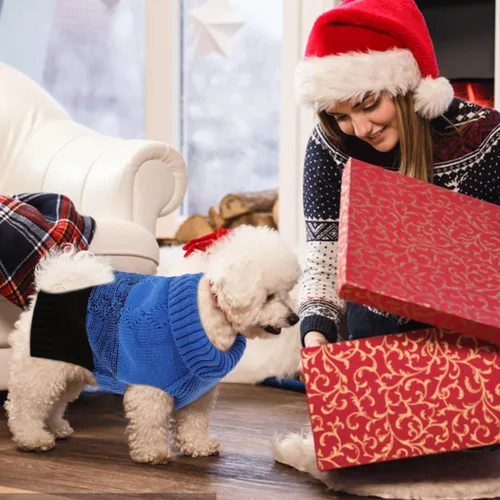 Vista 6 de ASENKU Suéter cálido para perros pequeños y medianos, suéteres para mascotas para ropa de perro en otoño e invierno, suéter grueso con cuello Azul