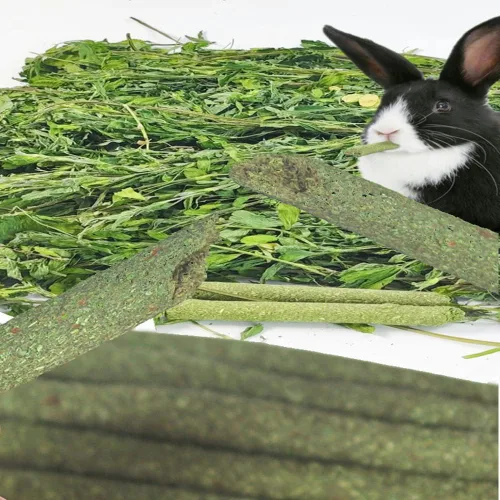 Vista 4 de 5.29 oz 3 tipos de juguetes masticables combinados palos molares dulce bambú rama de manzana Timothy hierba para mascotas Chinchilla, ardilla 150 g