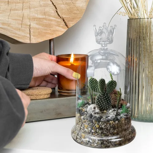 Vista 5 de FOMIYES Cúpula de cristal con base, tarro de campana terrario escaparate para coleccionables antiguos, cubierta de postre para decoración de oficina
