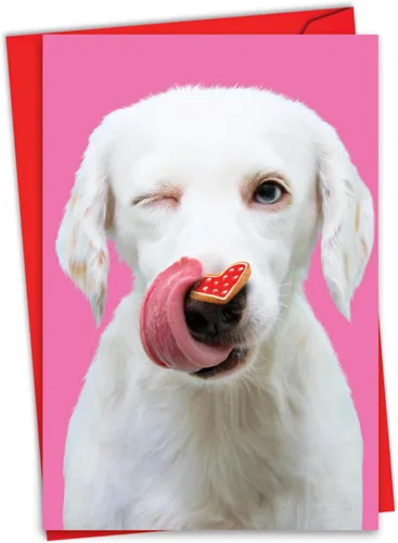 Vista 14 de NobleWorks Tarjeta de felicitación del día de San Valentín con sobre de 5 x 7 pulgadas para hombres, mujeres y parejas (1 tarjeta) caja de gato