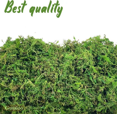 Vista 3 de Musgo verde para manualidades, musgo artificial decorativo para plantas en maceta, orquídea sintética, musgo, mezcla de tierra, turba, esfagno