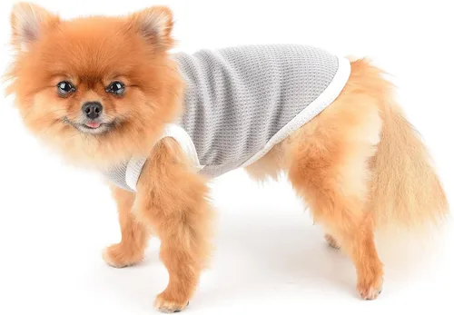 Vista 2 de SMALLLEE_LUCKY_STORE Linda camiseta de punto gofre con oso para cachorros, para perros pequeños, medianos, gatos, niños y niñas, camiseta elástica