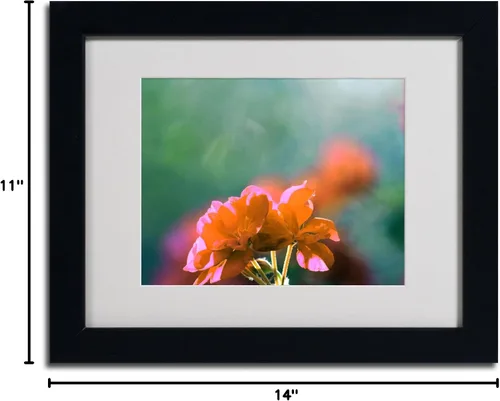 Vista 6 de Trademark Fine Art Patty Tuggle - Arte enmarcado mate con diseño de flores y sol en marco negro, 11 x 14 pulgadas