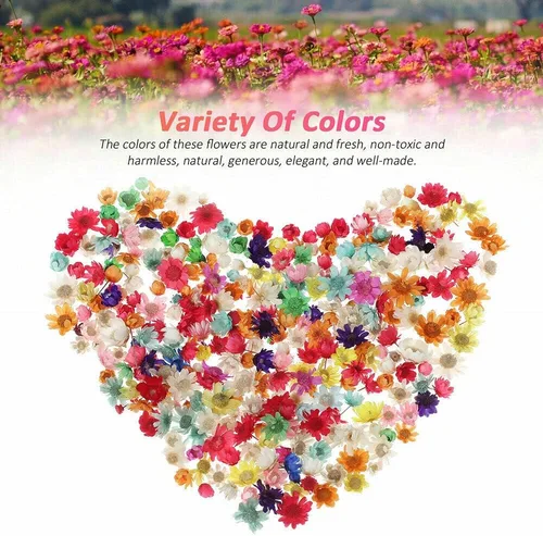 Vista 6 de 710pcs DIY flores secas dispersas aromaterapia vela colgante de resina epoxi