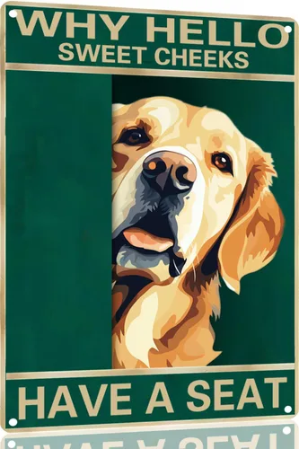 Vista 20 de Labrador Retriever - Letrero de metal con texto en inglés "Why Hello Sweet Cheeks Have A Seeks Have A Seeks" (1683)