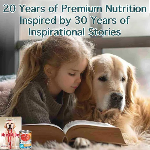 Vista 7 de Chicken Soup for The Soul All Natural Premium - Alimento húmedo para perros adultos, primer ingrediente de carne real, sin subproductos, pollo