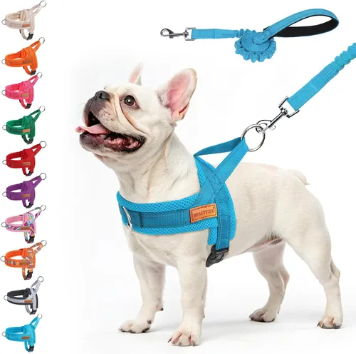 Vista 29 de BEAUTYZOO Arnés para Perros Pequeños, Juego de Arnés y Correa sin Tirones, Arnés de Pecho para Cachorros a Prueba de Escapes con Mango, Arnés Beige