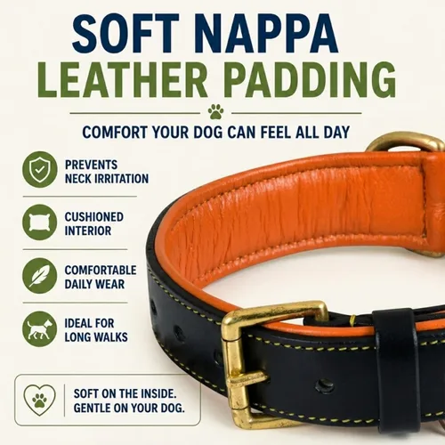 Vista 3 de Collar de cuero para perro Collar de cuero para perros pequeños, collar de perro de 0.75 pulgadas de ancho, negro, genuino, de grano completo