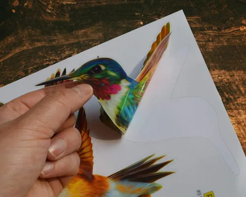 Vista 5 de Calcomanías anticolisión para ventana de alerta de pájaros, para evitar golpes de pájaros en el cristal de la ventana, juego de 12 colibríes