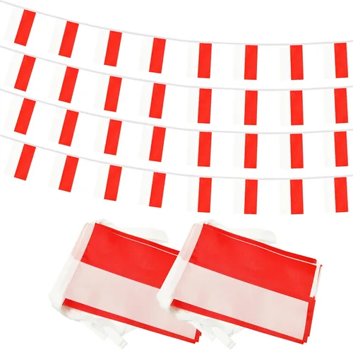Vista 26 de Bandera de Cuerda Argentina de 100 Pies, 76 Piezas Bandera Estandarte Argentina, Pequeñas Mini Banderas del Mundo para Eventos Deportivos