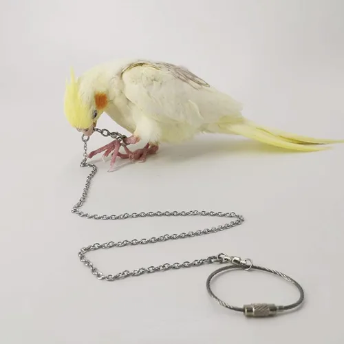 Vista 9 de Cadena de pie de pájaro cuerda de entrenamiento de acero inoxidable para exteriores, loro al aire libre, accesorios para anillo de pie de tobillo
