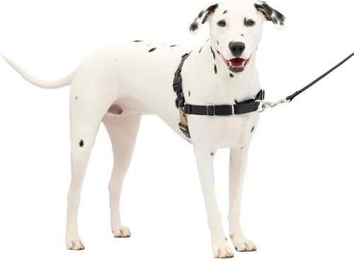 Vista 49 de PetSafe Easy Walk - Arnés para perro, sin tirones, gris carbón Carbón/Negro