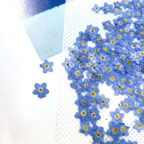 Vista 5 de Myosostis Sylvatica - 20 flores secas prensadas para resina, vela, resina epoxi, fabricación de jabón, álbumes de recortes, manualidades de Azul