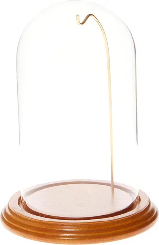 Vista 5 de Plymor Cúpula de exhibición de cristal de reloj/adorno de 4 "x 7