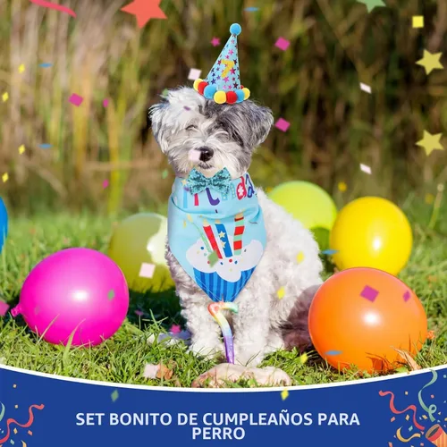 Vista 2 de Weewooday Suministros para Fiesta de Cumpleaños de Perro, Pañuelo de Cumpleaños para Niño y Niña, Bufanda Triangular, Sombrero de Fiesta, Corbata