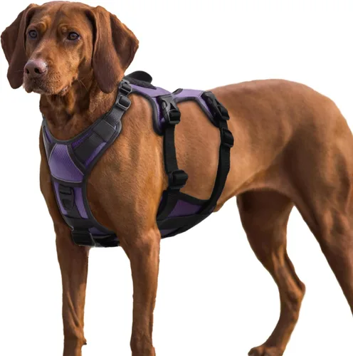 Vista 17 de AUROTH Arnés para perro a prueba de escape, chaleco ajustable reflectante acolchado suave con asa de elevación, tamaño mediano