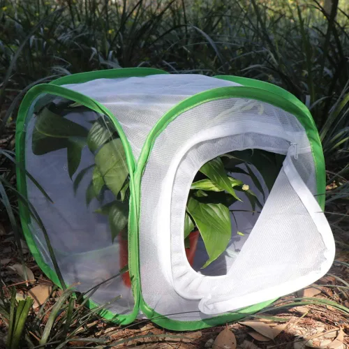 Vista 3 de RESTCLOUD Jaula de hábitat para insectos y mariposas con protección de cremallera, 12 x 12 x 12 pulgadas