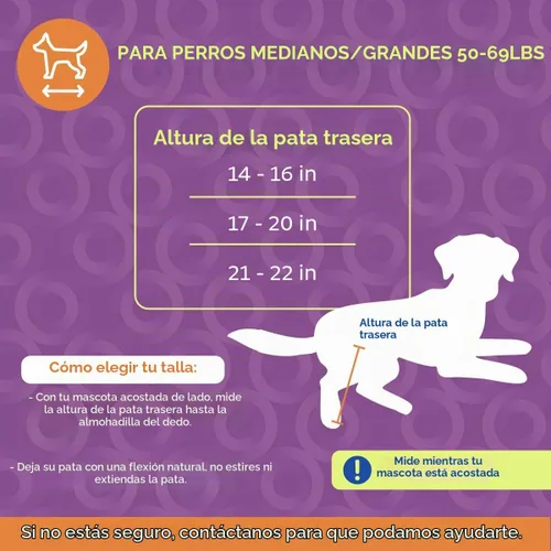 Vista 2 de Silla de ruedas de perro para perros pequeños, 26 a 69 libras, de Walkin' Wheels, 5, Azul