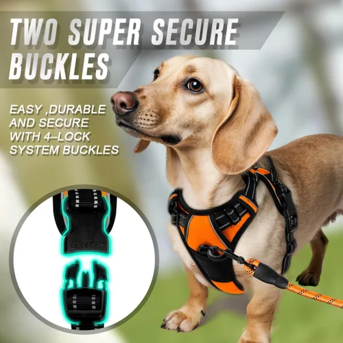 Vista 242 de BARKBAY - Arnés para perro sin tirones con clip frontal, material resistente y reflectante, asa de fácil control para pasear perros grandes