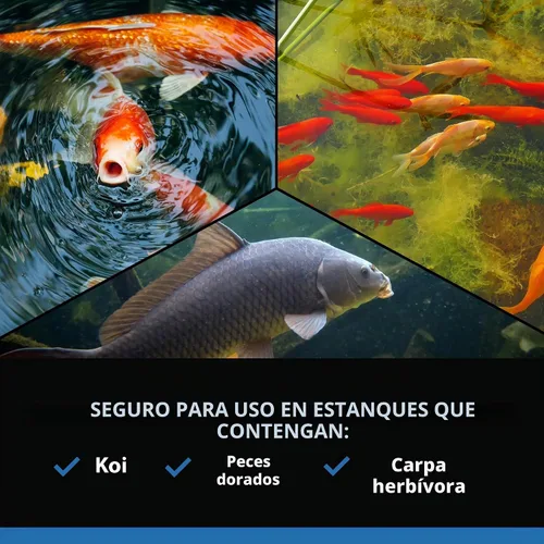 Vista 6 de CrystalClear AlgaeOff - Asesino de algas para estanque y jardín acuático, 2.5 libras
