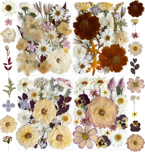 Vista 7 de 84Pcs Real Natural Dried Pressed Flowers & Green Leaves for DIY Crafts, Resin, Scrapbooking, Frame Decor + 4 Packs + Tweezers