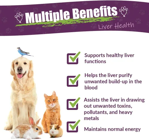 Vista 2 de Amber NaturalZ - Life Cell Support - Salud del hígado - para Petz - 1 onza Provides antioxidant protection to support normal cellular function &