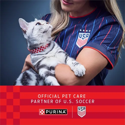 Vista 2 de Purina Tidy Cats Arena aglutinante para gatos, control de olores, libre y limpia, sin perfume, arena para gatos – bolsa de 16 libras