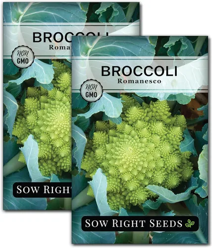 Vista 7 de Sow Right Seeds - Semillas de brócoli Romanesco para plantar - Paquete de reliquia sin OMG con instrucciones para plantar un huerto doméstico al