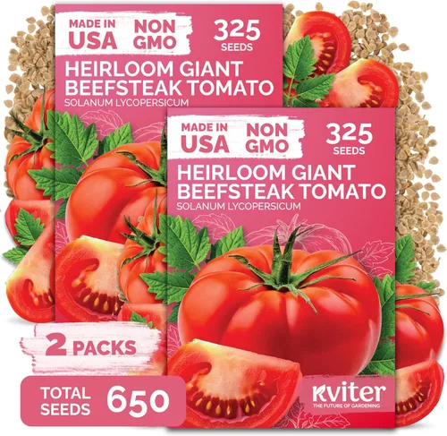 Vista 26 de KVITER Mezcla de 100 semillas de calabaza pequeñas (Cucurbita Pepo), paquete de 2 – Calabazas ornamentales de otoño, sin OGM – Semillas de reliquia