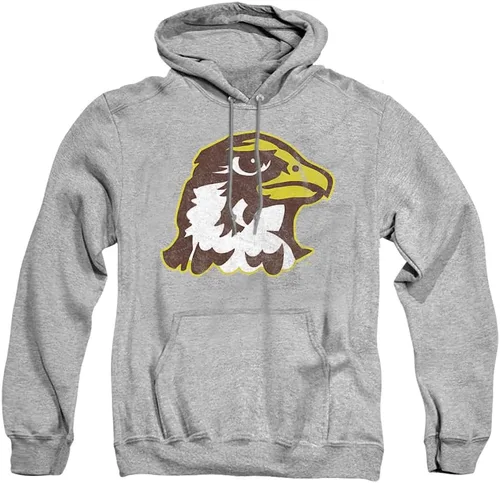 Vista 155 de Distressed College Primary Logo Adult Pullover Hoodie Collection 1 Universidad Estatal de Albany