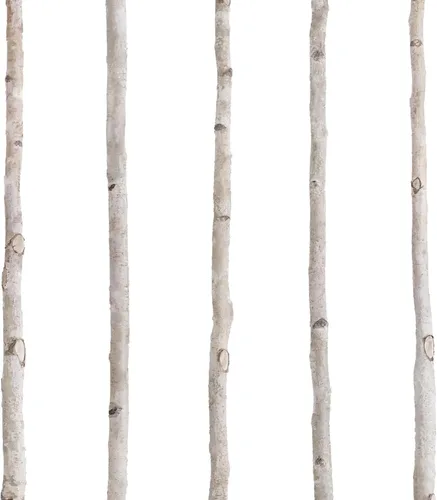 Vista 9 de 5 varillas de abedul blanco de 4 pies 1-1.5 pulgadas de diámetro, ramitas de madera natural para manualidades, ramas, decoración del hogar