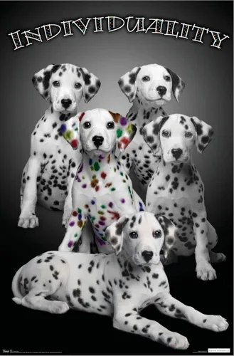 Vista 2 de Trends International Keith Kimberlin - Póster de pared de lienzo individual de cachorros dálmatas con manchas