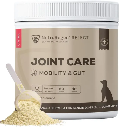 Vista 9 de NutraRegen Select Forte Suplemento para articulaciones de perros mayores – Glucosamina, condroitina, MSM, colágeno y mejillón de labios verdes