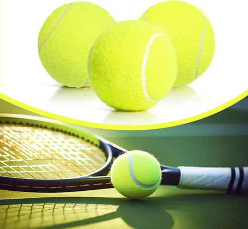 Vista 32 de Tennis Balls, High Bounce for Practice and Dog Play Azul
